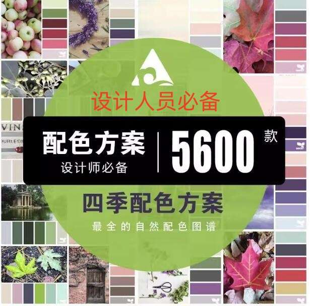 5600款设计排版配色方案【附教程】-PS设计颜色搭配色卡实物色彩搭配【电商热销841】-欢迎访问本站