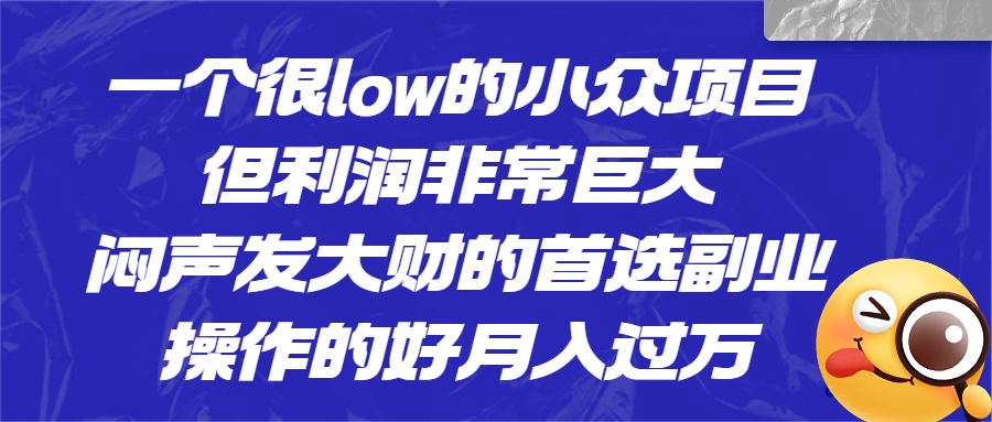 一个很low的冷门小众项目，利润巨大闷声发大财的首选副业！-欢迎访问本站