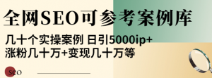 优秀网站SEO实操案例, 日引5000ip+涨粉百W+变现几十W-欢迎访问本站