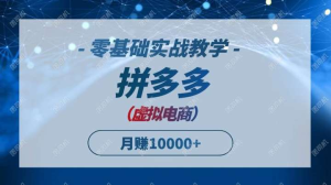 2025拼多多虚拟电商[零基础实战教学]快速打爆商品，新手也能月入10000+-欢迎访问本站