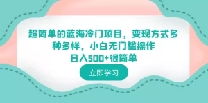 0基础操作蓝海冷门项目日入500+，多种变现方式助你轻松成功！-欢迎访问本站