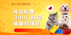 同城萌宠项目，冷门暴利玩法教学【外边收费3980】-欢迎访问本站