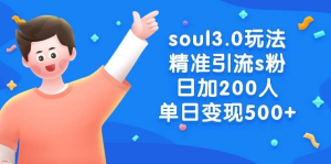 soul精准引流s粉男粉玩法，日加200人单日变现500+-欢迎访问本站