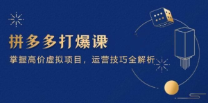 拼多多高价虚拟冷门项目运营技巧全解析（15节）2025玩转拼多多虚拟店铺-欢迎访问本站